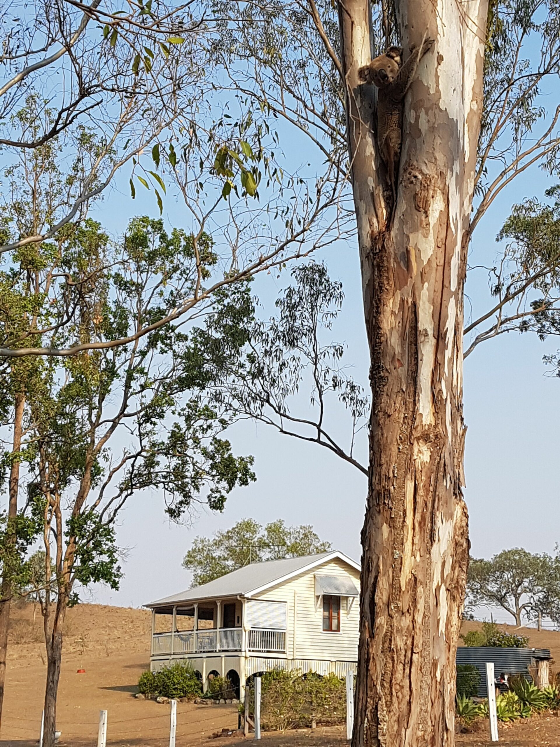 VANBERY COTTAGE HOST FARM