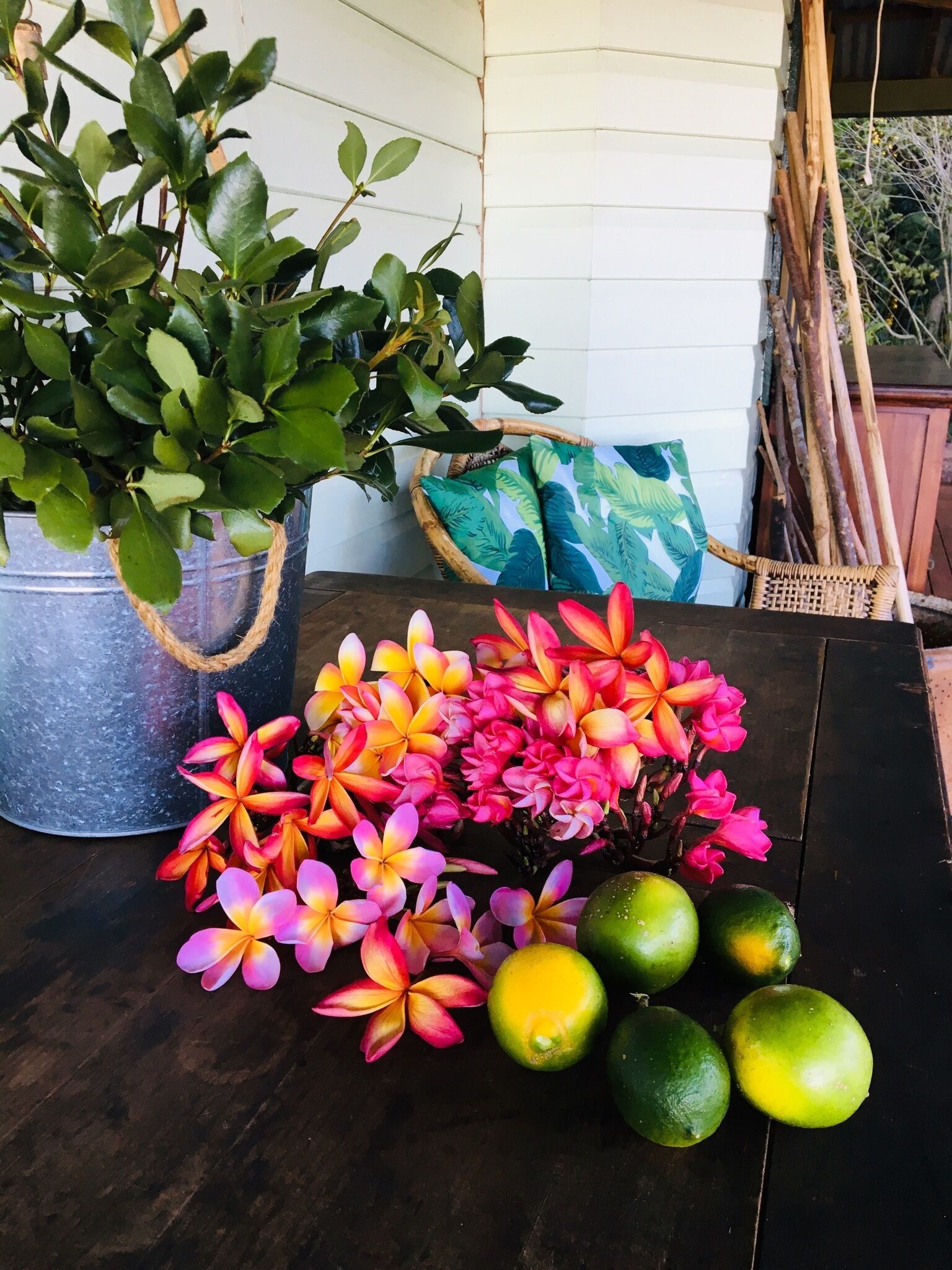 Byron Bay Hinterland - Rosebank View