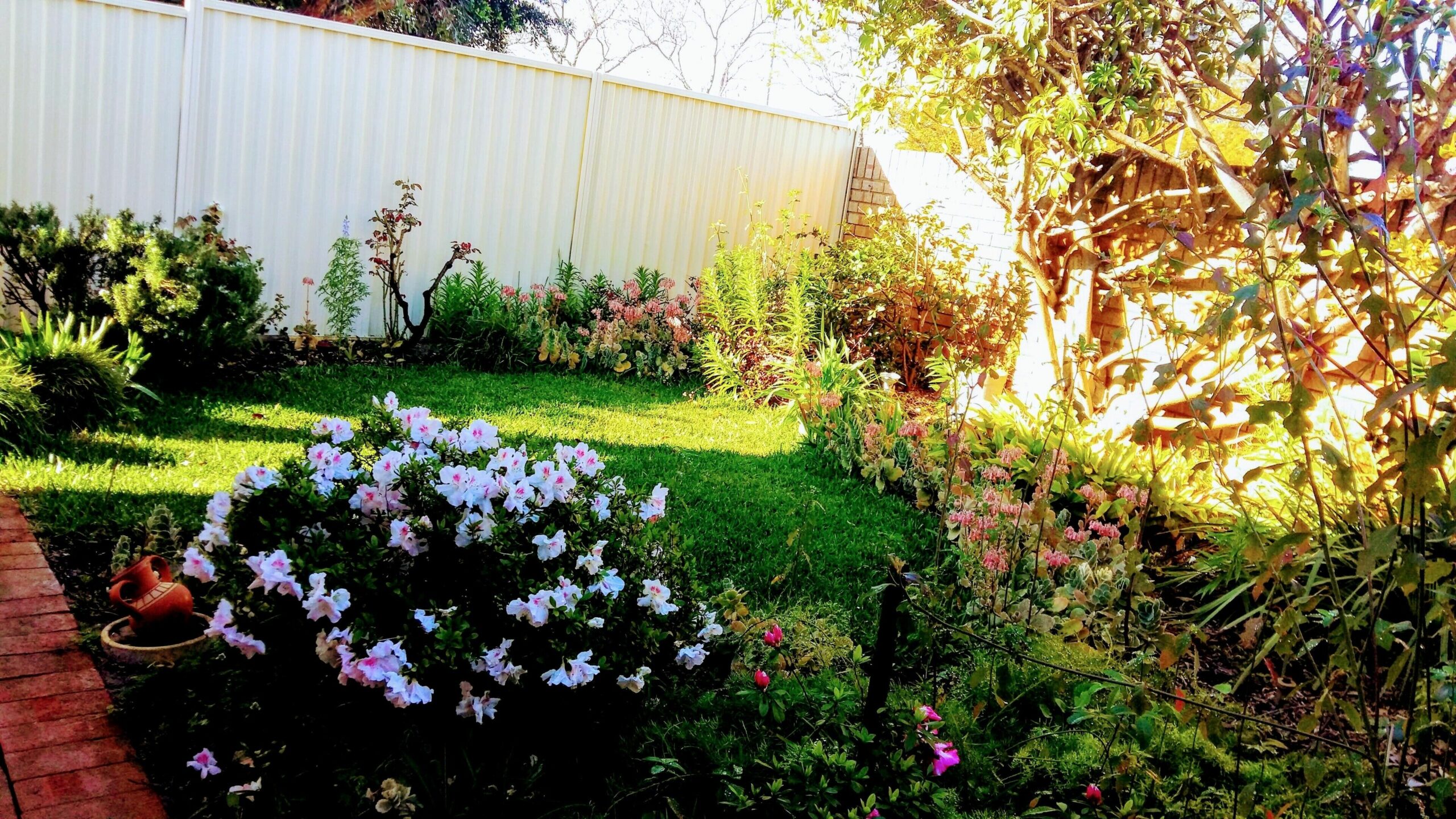 Camelias Boutique Cottage in Dianella