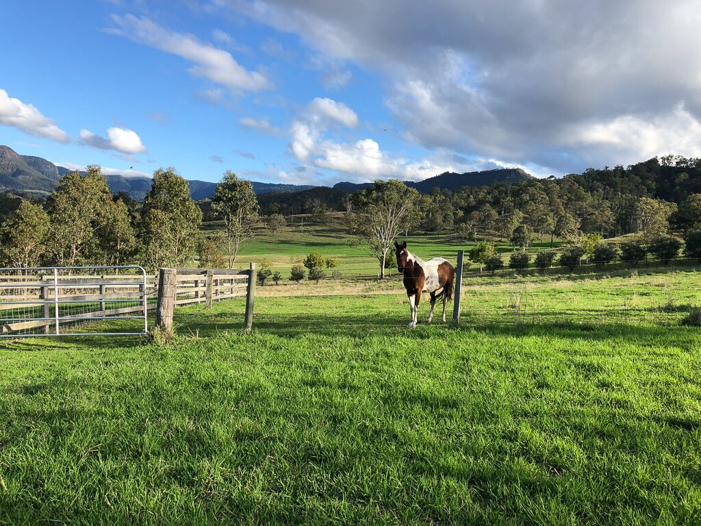 Darlington Grove Farm Stay in a Renovated Dairy Lots of Animals and River Access