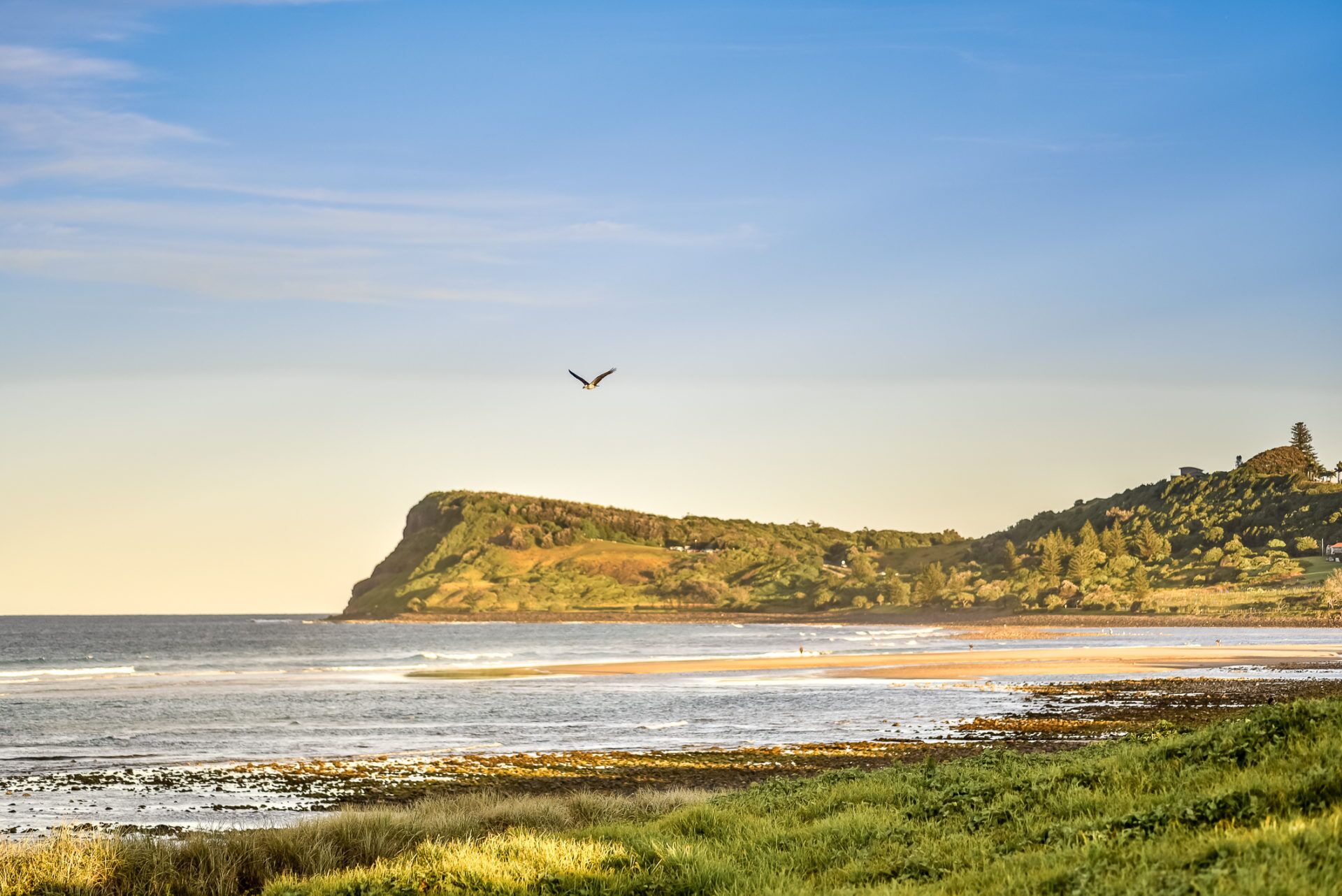 Seascape - Lennox Head