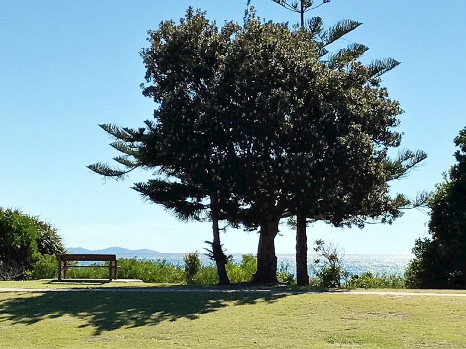 The Palms 2 @ Clarkes Beach