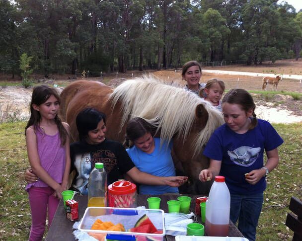 GUMLEAF COTTAGE FARMSTAY - Free daily Animal feeding - close to Perth!