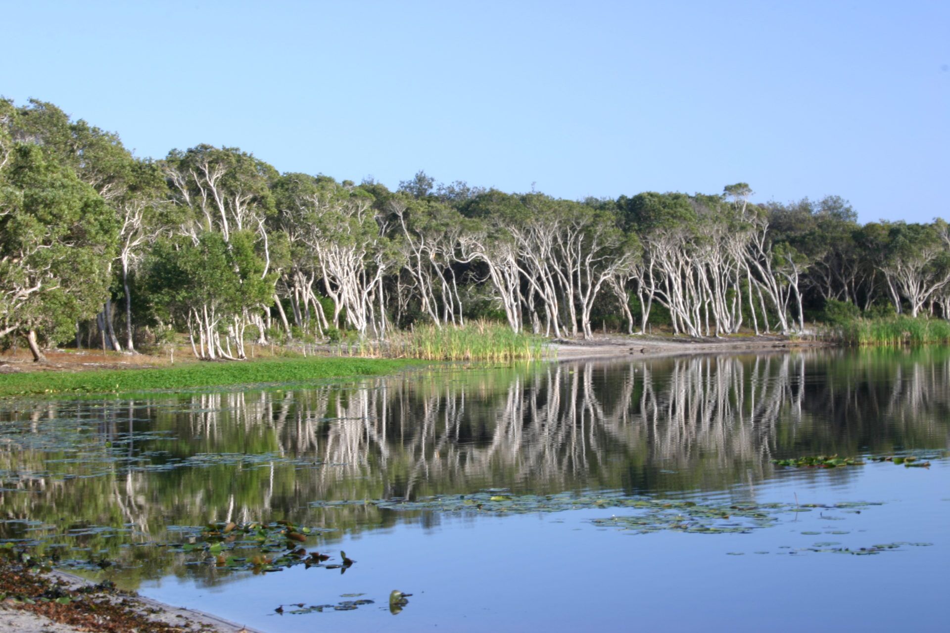 Castions - Lennox Head