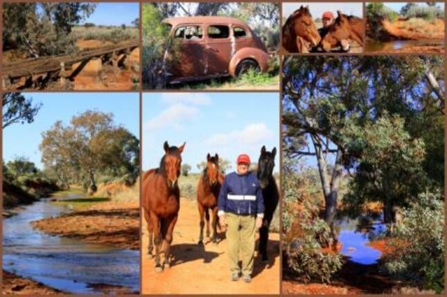 Gum Paddock Country Cottage