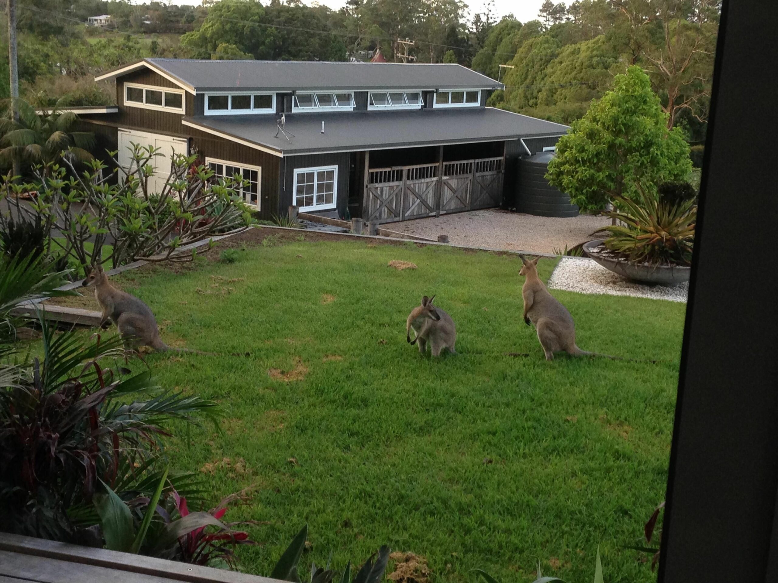 At Coopers Shoot - Byron Bay