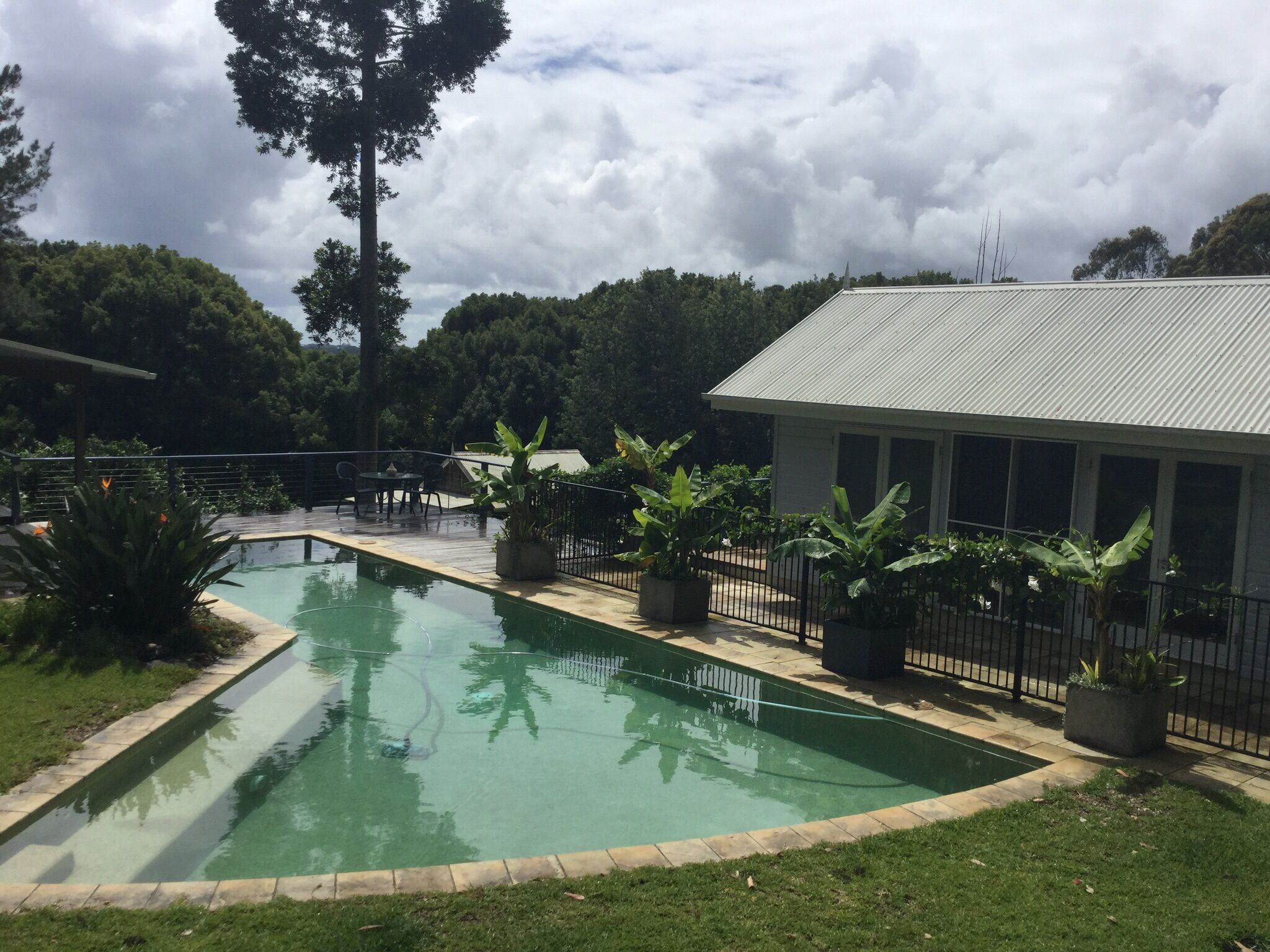 Songbird. Federal Byron Hinterland . Perfect place to recharge !