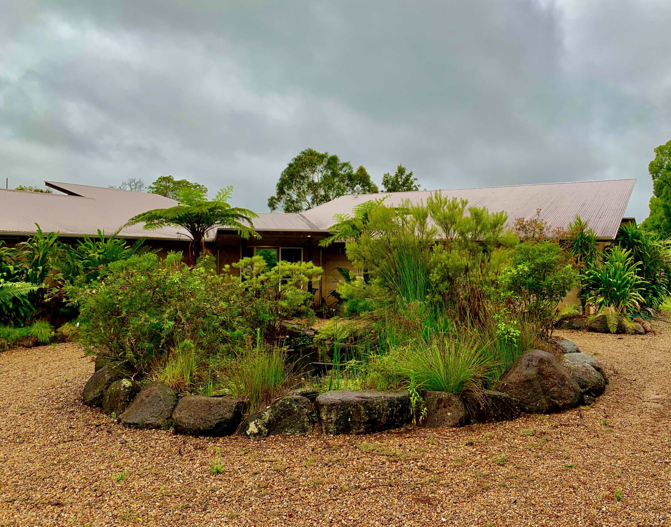 Byron Bay Hinterland Stunner - Federal Dreaming