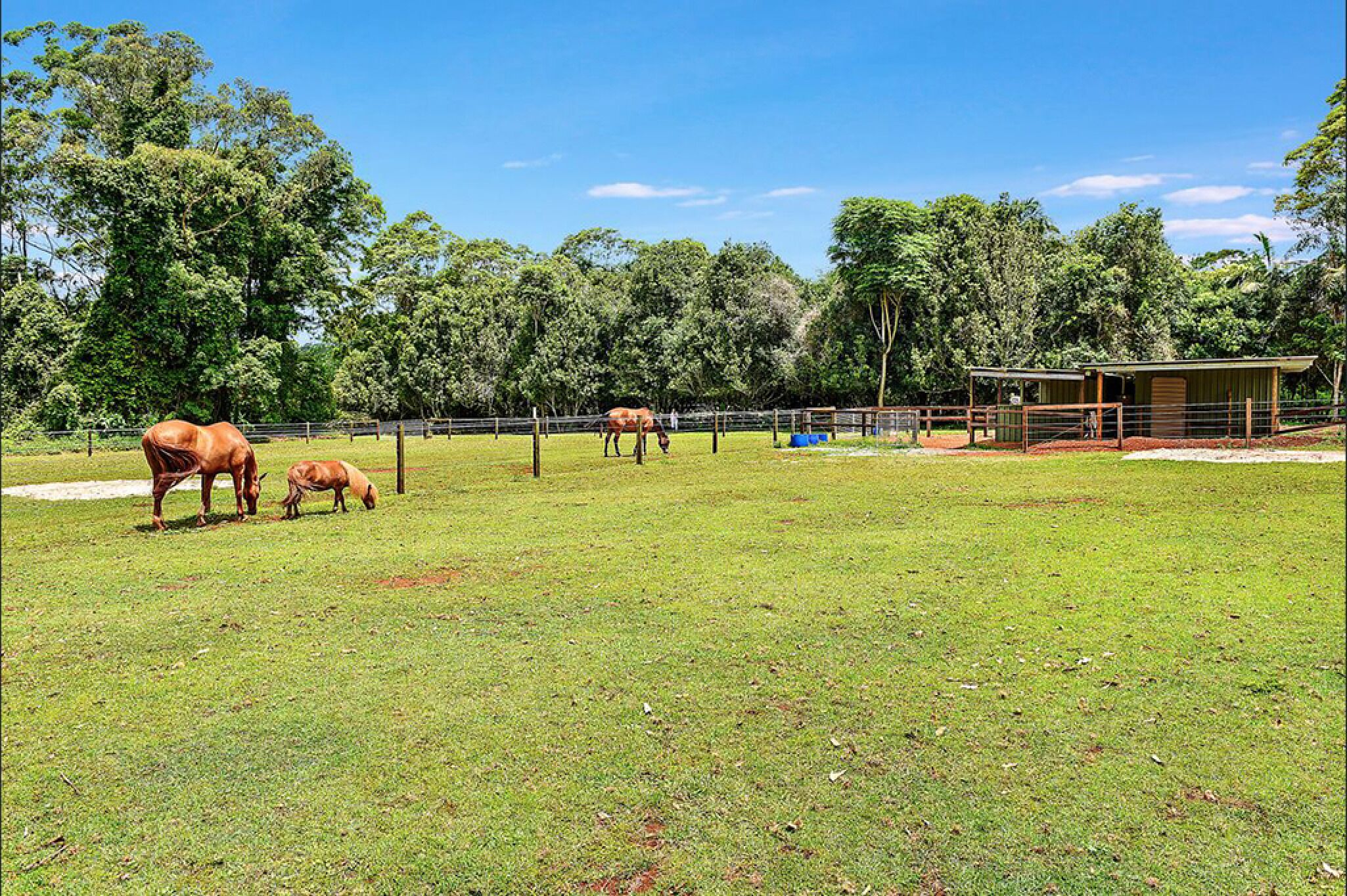 Cassowary Luxury Cottage - Mount Tamborine