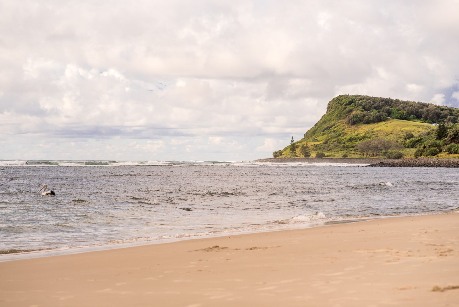 Little Green Beach House - Lennox Head