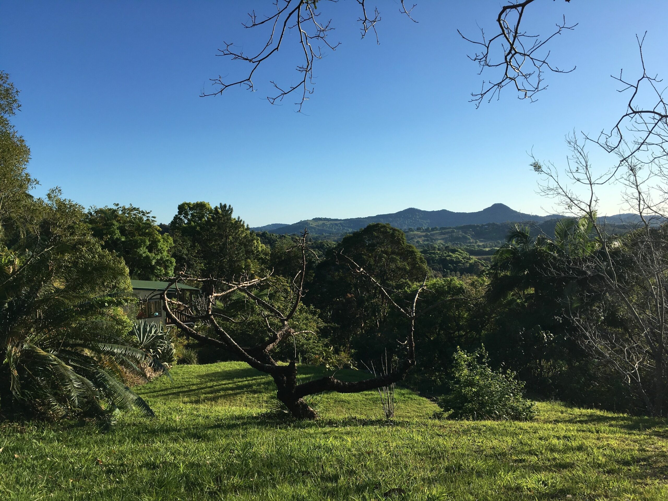 Beautiful views, great location! Mullumbimby