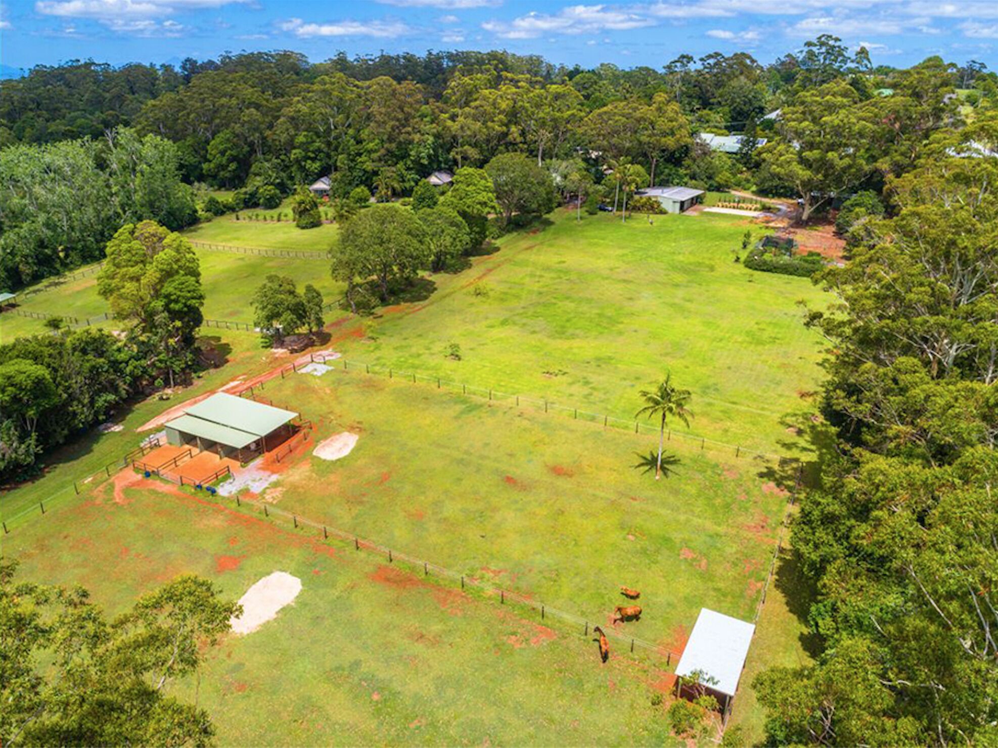 Cassowary Luxury Cottage - Mount Tamborine