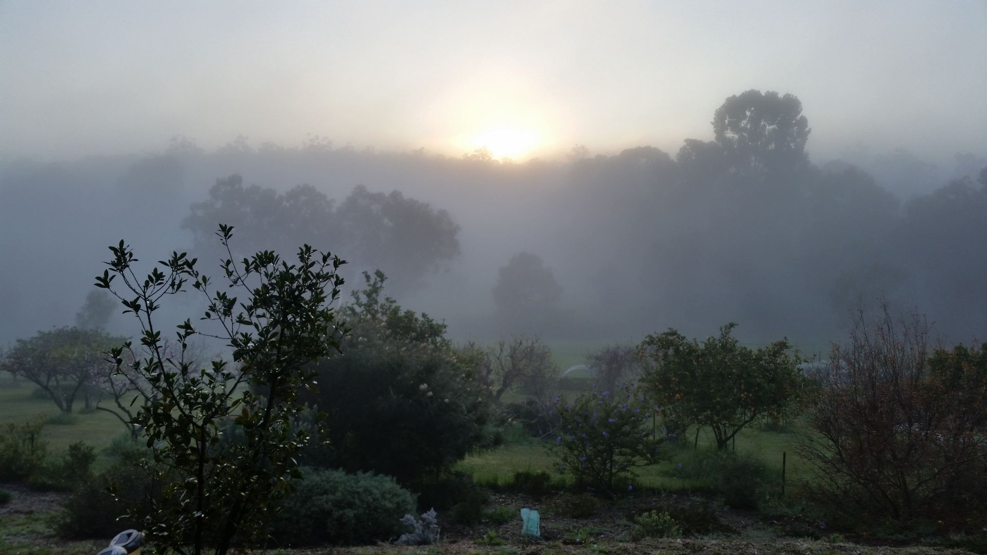 Hillborne Cottage Perth Hills