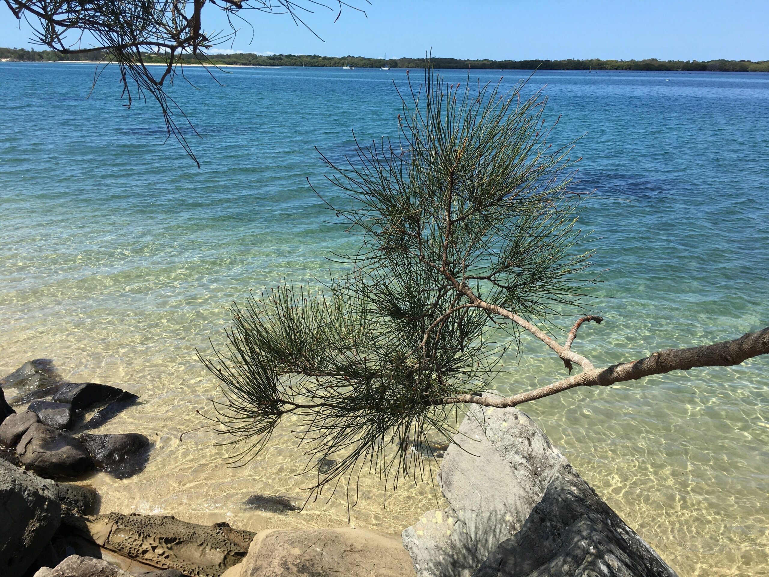 Historic house across from Riverfront , Gateway to Byron Bay & surrounding areas