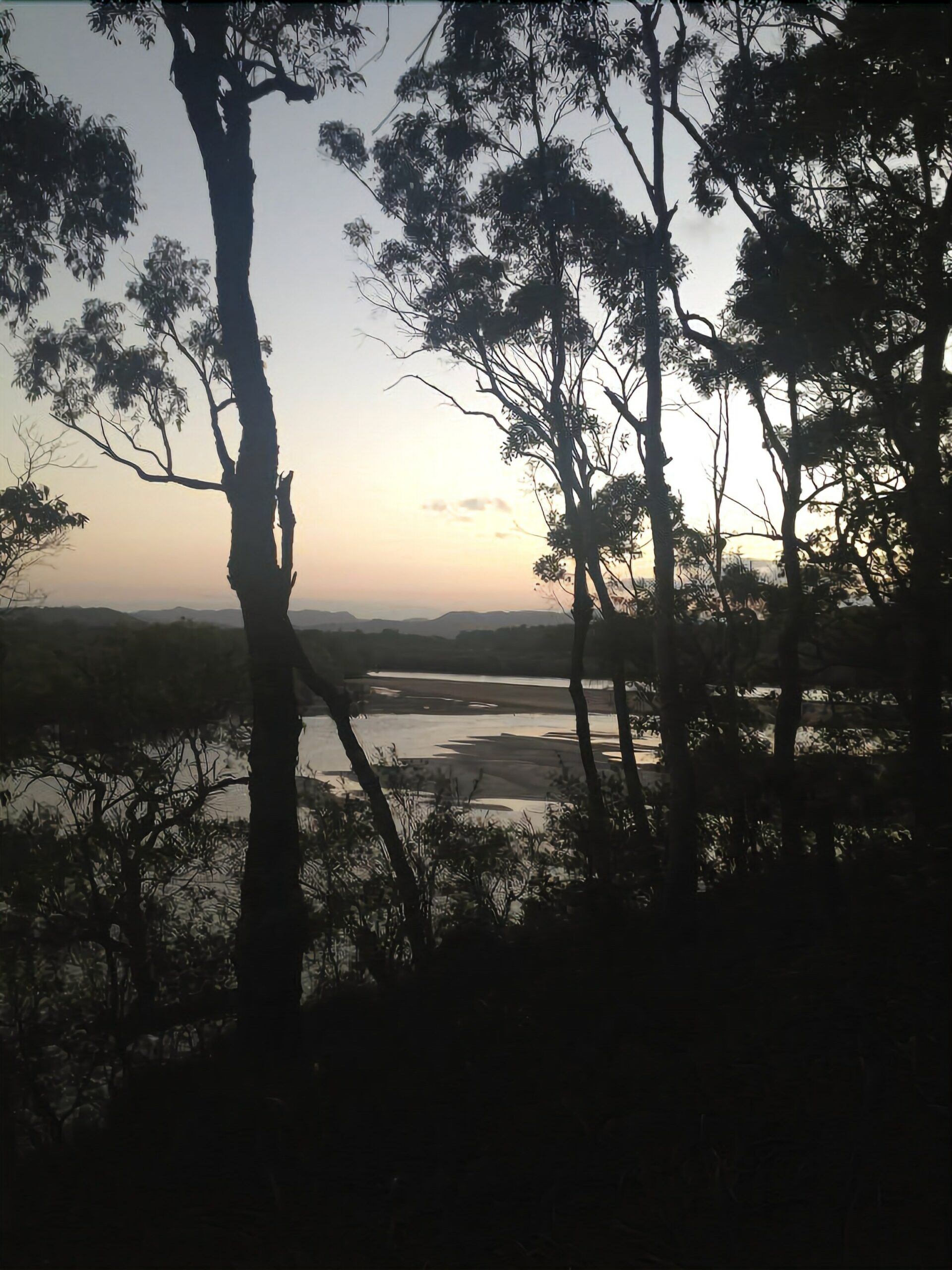 A House With a View and a Seabreeze - a Home in the Trees Where the Birds Sing!