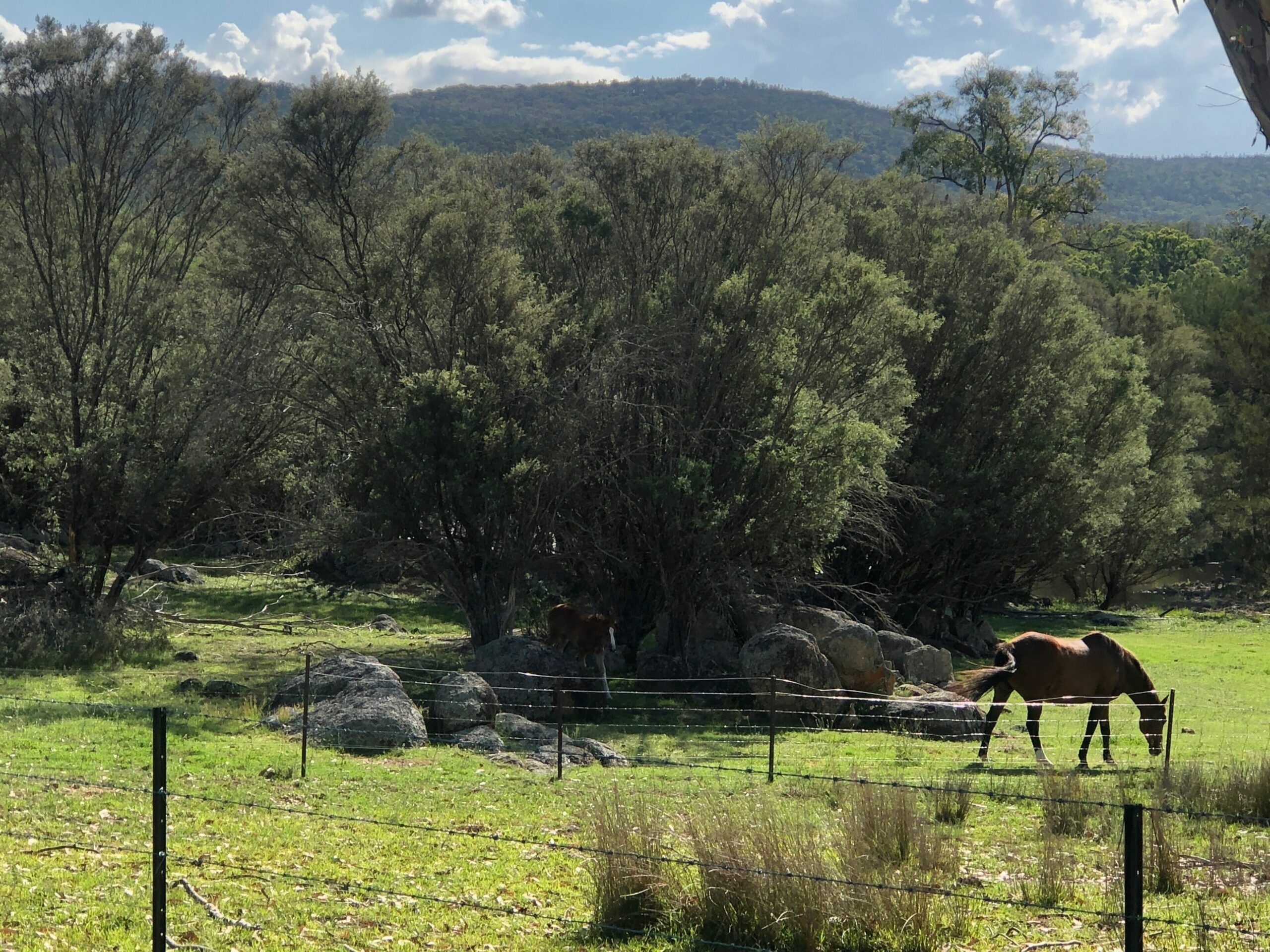 Charming Lochiel Cottage Farmstay