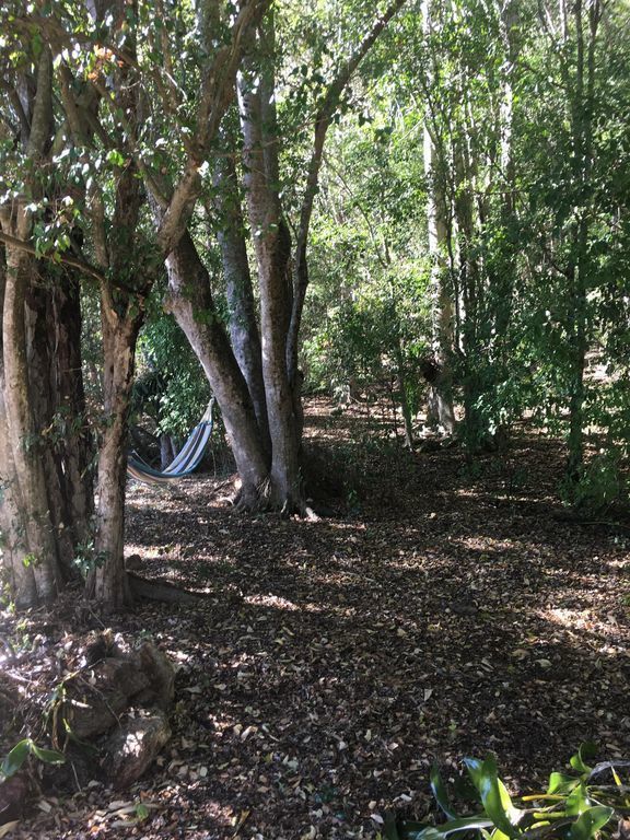 Beaumont High Country Homestead - Peaceful Getaway on a Working Cattle Property