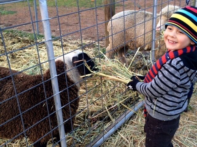 GUMLEAF COTTAGE FARMSTAY - Free daily Animal feeding - close to Perth!