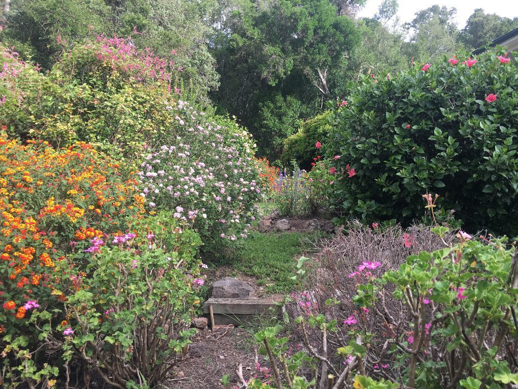 Beaumont High Country Homestead - Peaceful Getaway on a Working Cattle Property