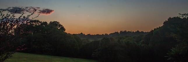 Alfie's Cottage - Coorabell, Byron Hinterland