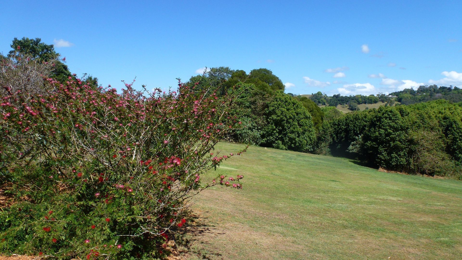 Alfie's Cottage - Coorabell, Byron Hinterland