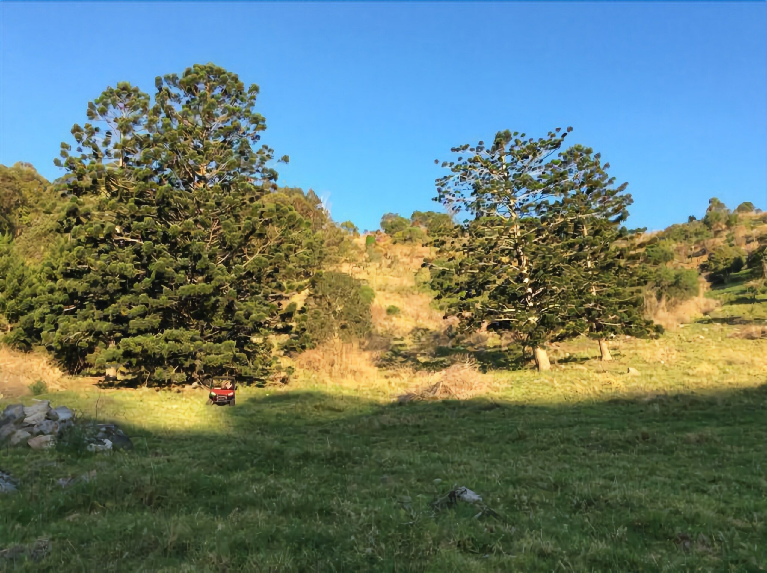 Beaumont High Country Homestead - Peaceful Getaway on a Working Cattle Property