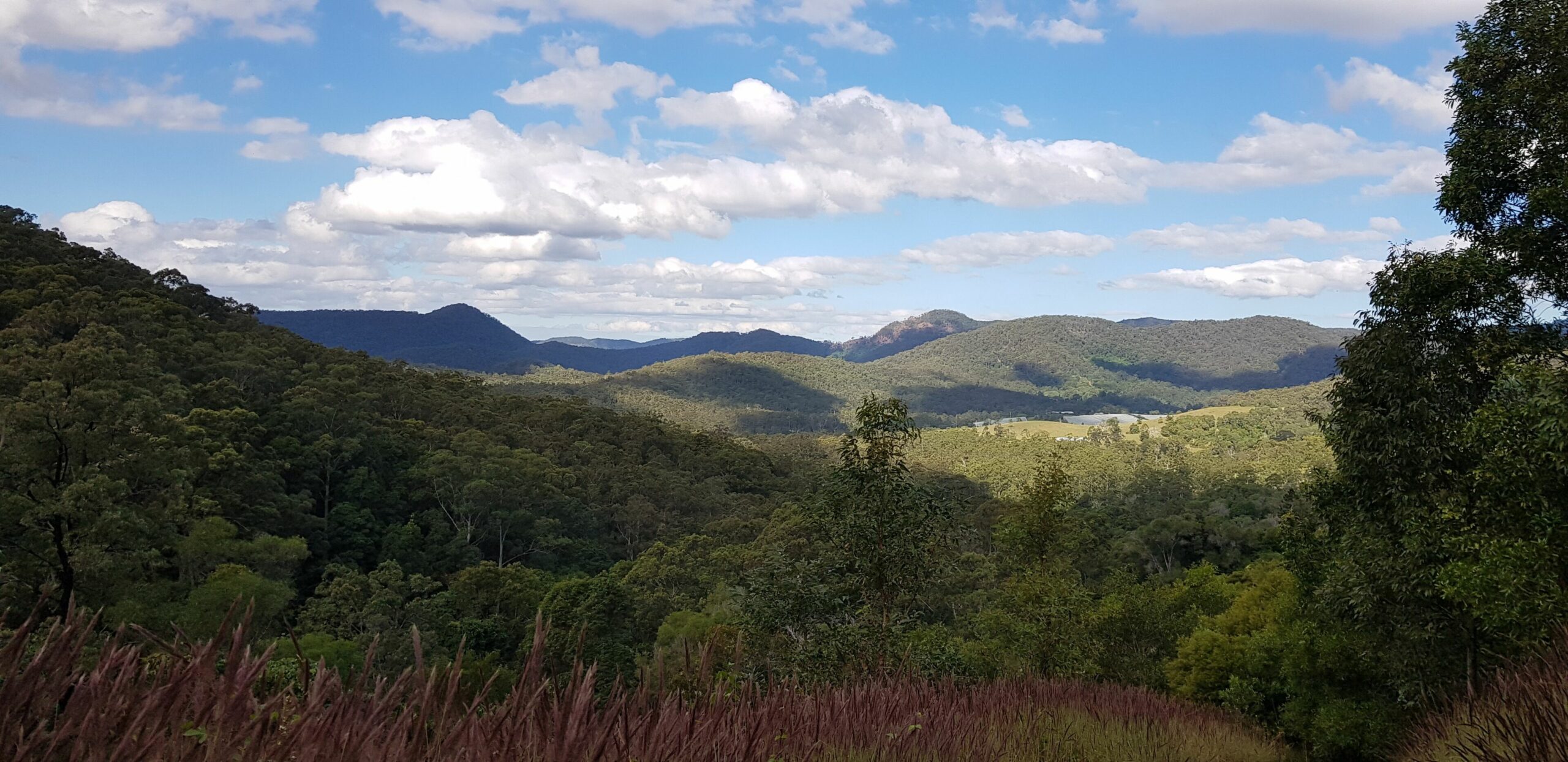 Tree House #1. Private, Stone Bath With Amazing Views to the Gold Coast.3levels