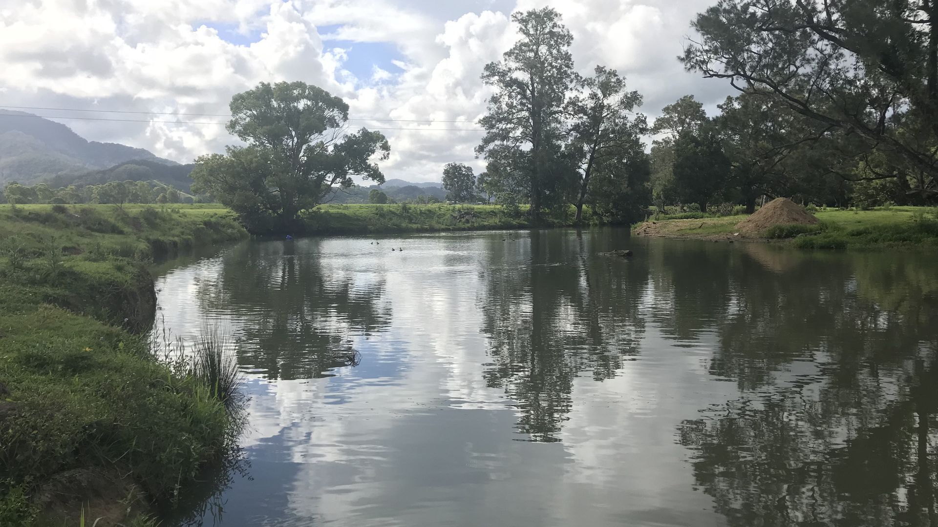 Mullumbimby Rural Escape  - Harry's Place