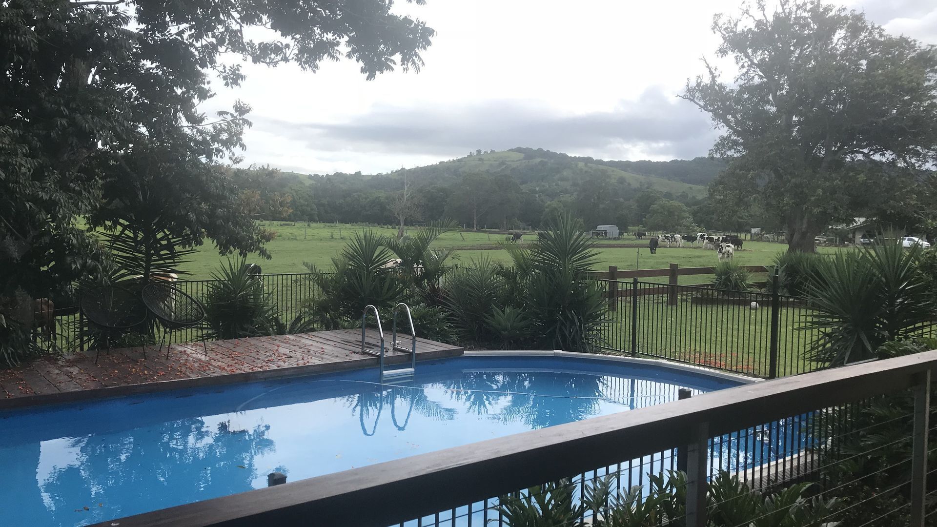 Mullumbimby Rural Escape  - Harry's Place