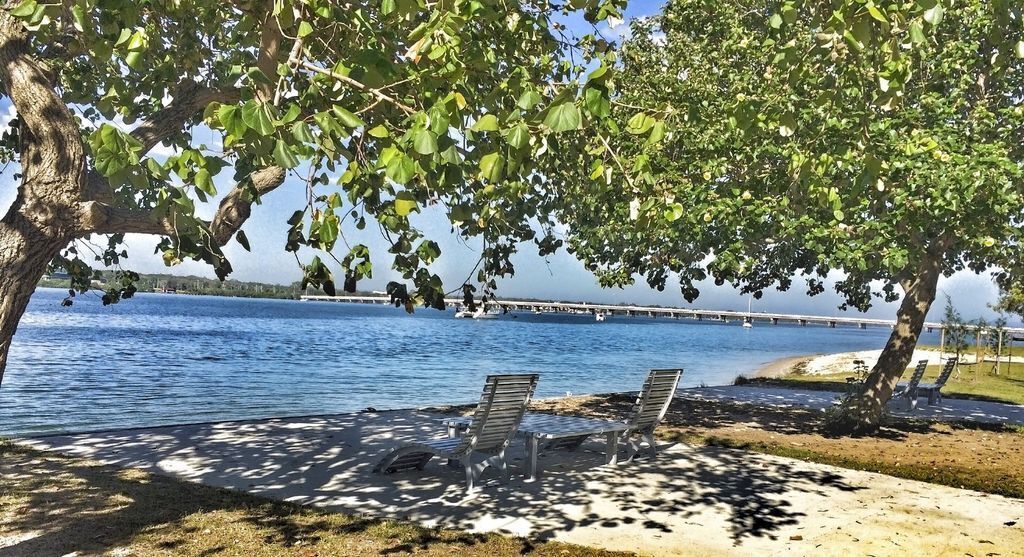 Bring the Family, dog and the Boat to Welsby Pde, Bongaree