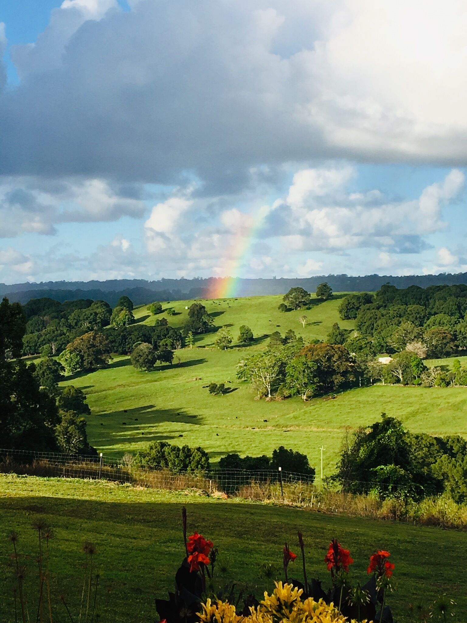 Byron Bay Hinterland - Rosebank View