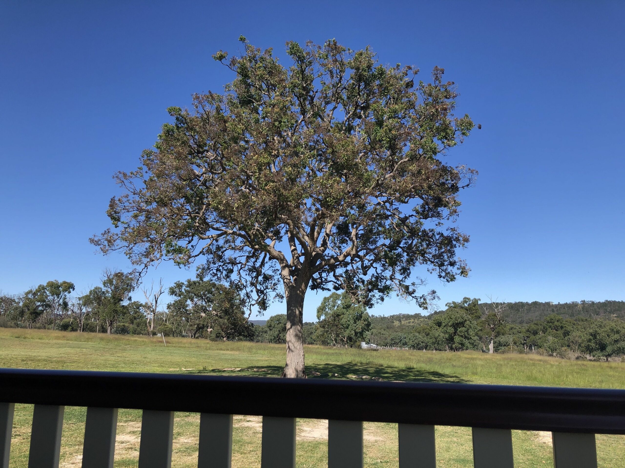 Newly Built Country Homestead