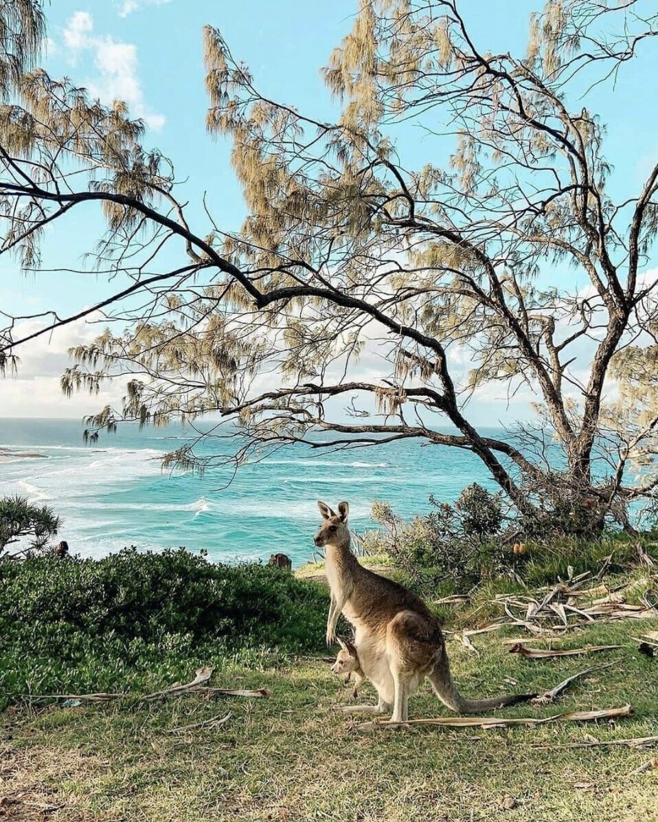 Sand Bark Executive Villa - North Stradbroke Island