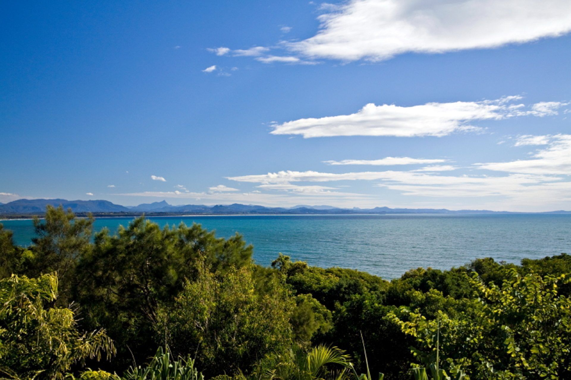 Byron Bay Treehouse on Lighthouse Road