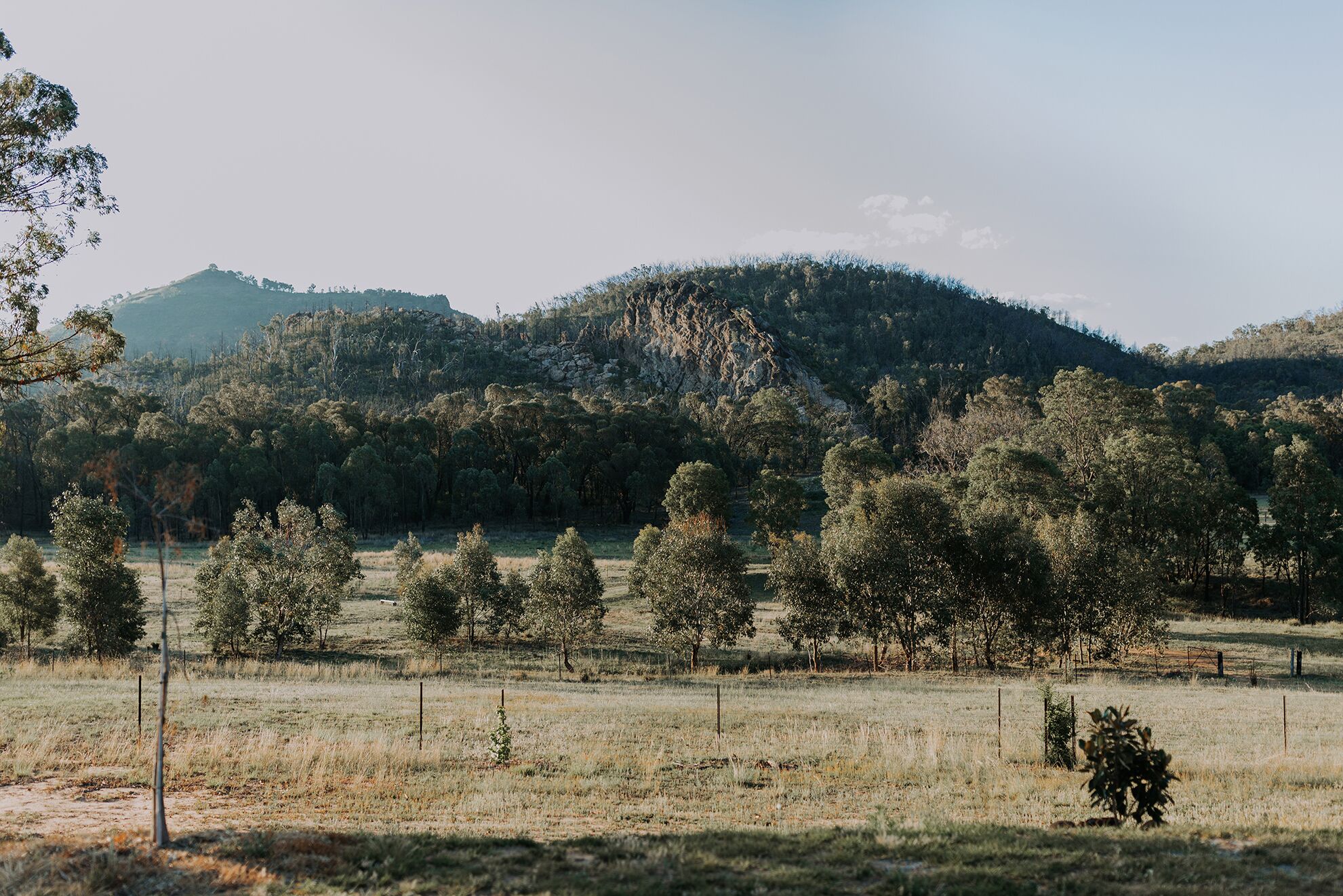 Mirrabook Cottage - Luxury mountain retreat