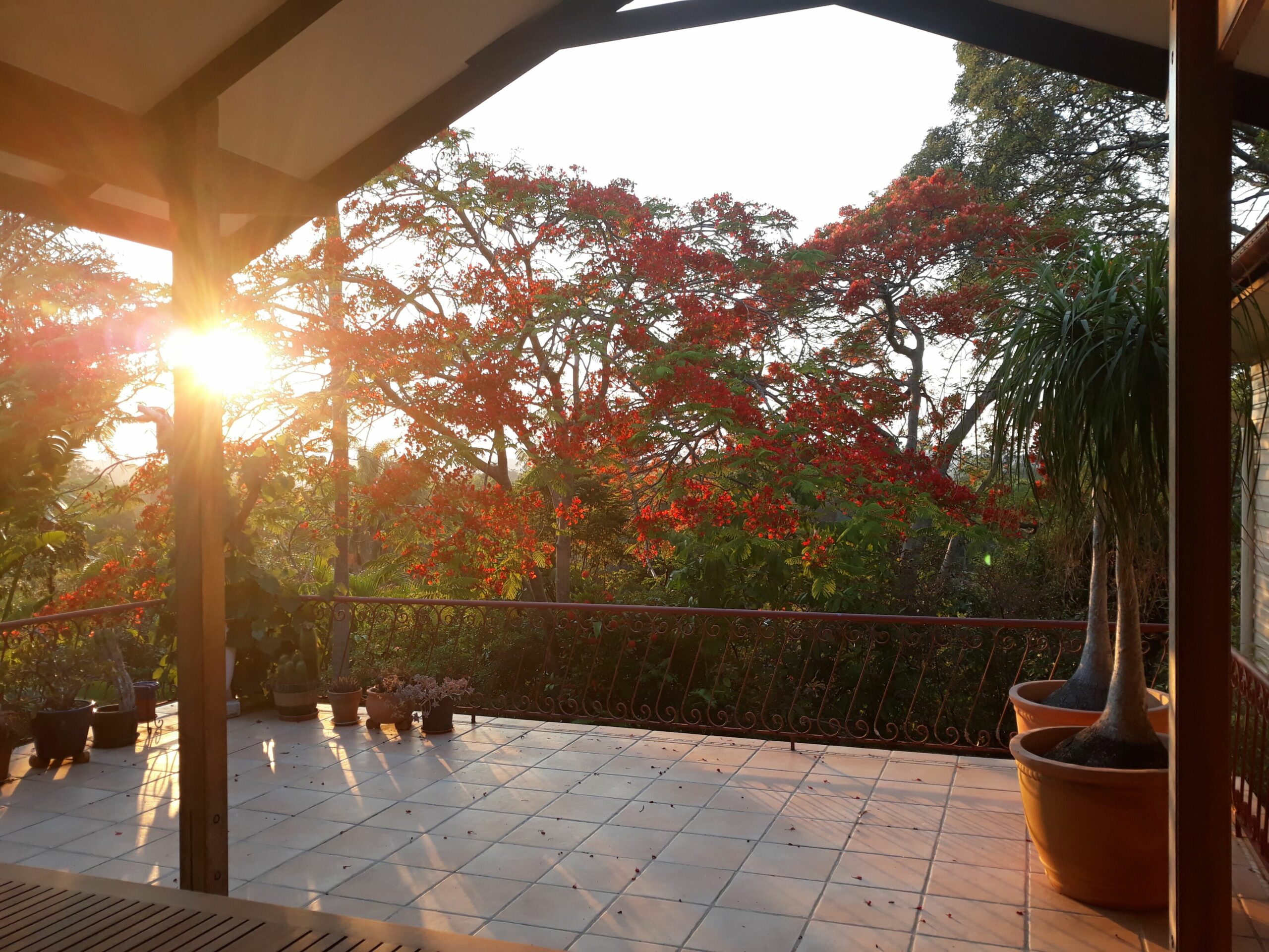 Beautiful secluded home in Mullumbimby