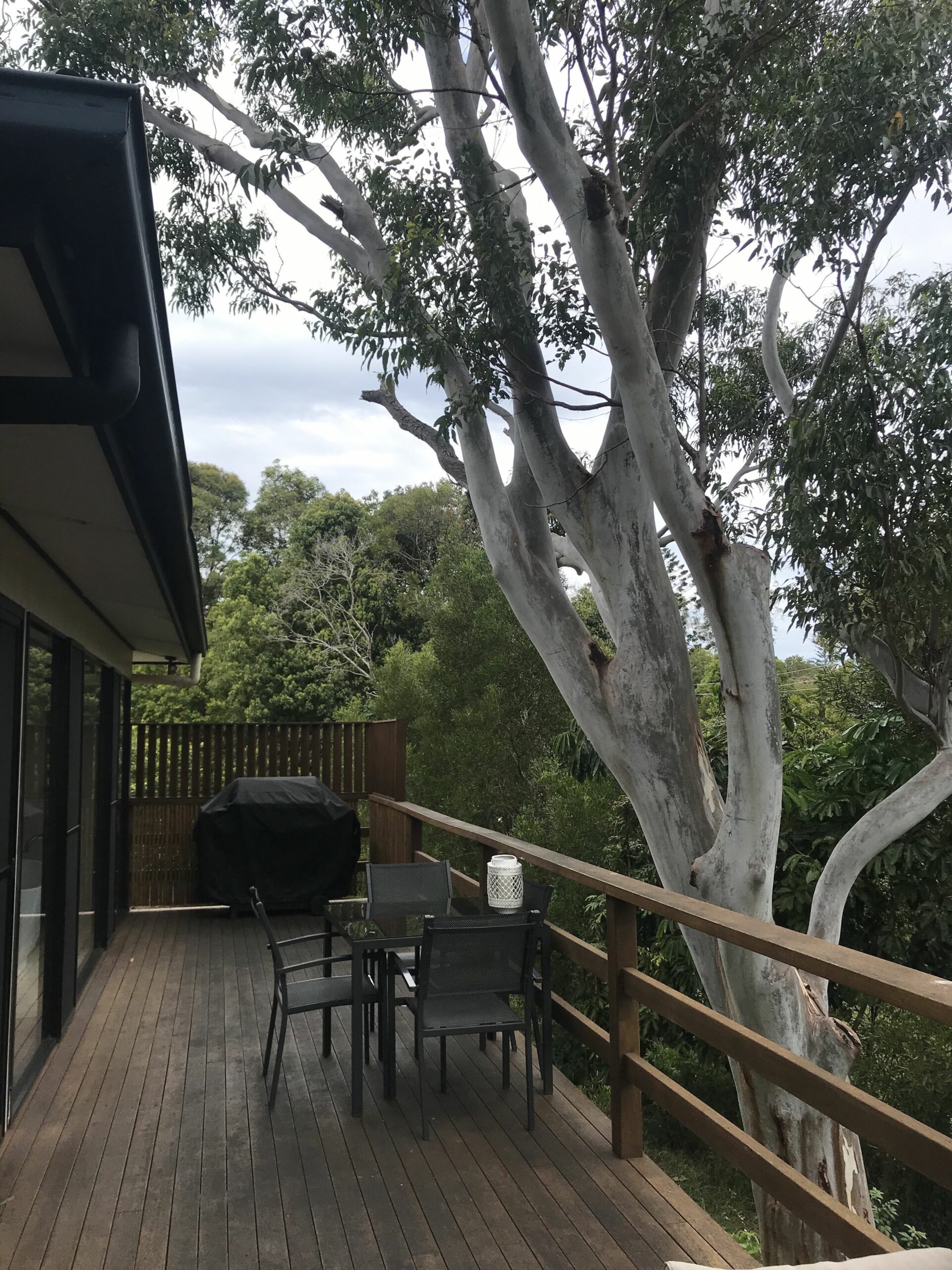 Byron Bay Hinterland House, "sunset House"