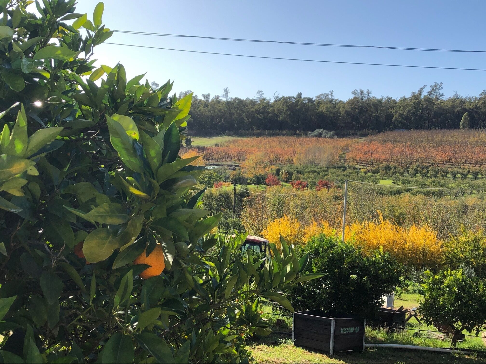 Secluded Sundowner Retreat on the Orchard!