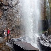 Springbrook Rainforest & Waterfalls Tour - Departing GOLD COAST