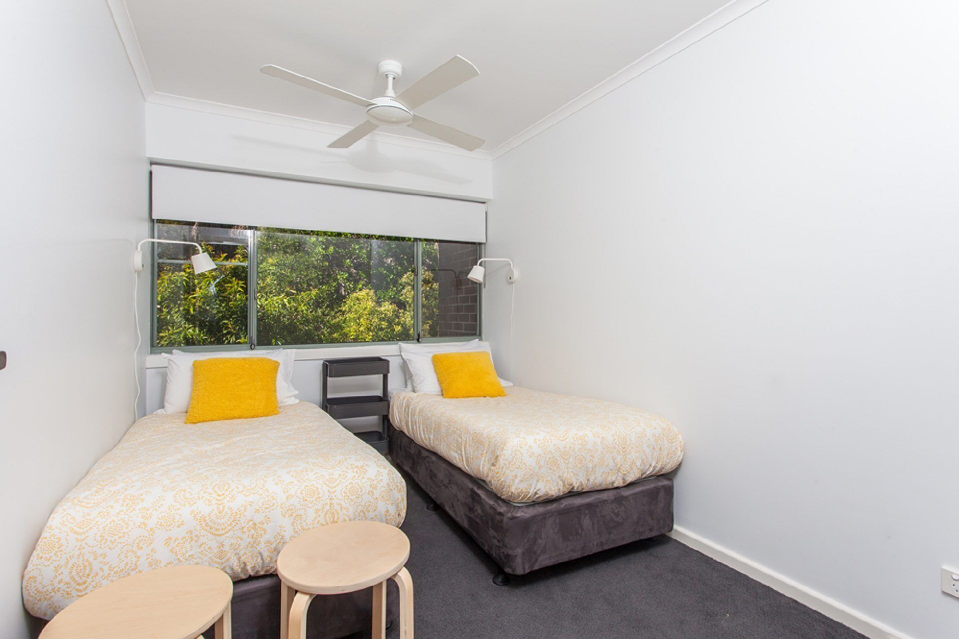 Surfside6 @ James Cook - Clarkes Beach