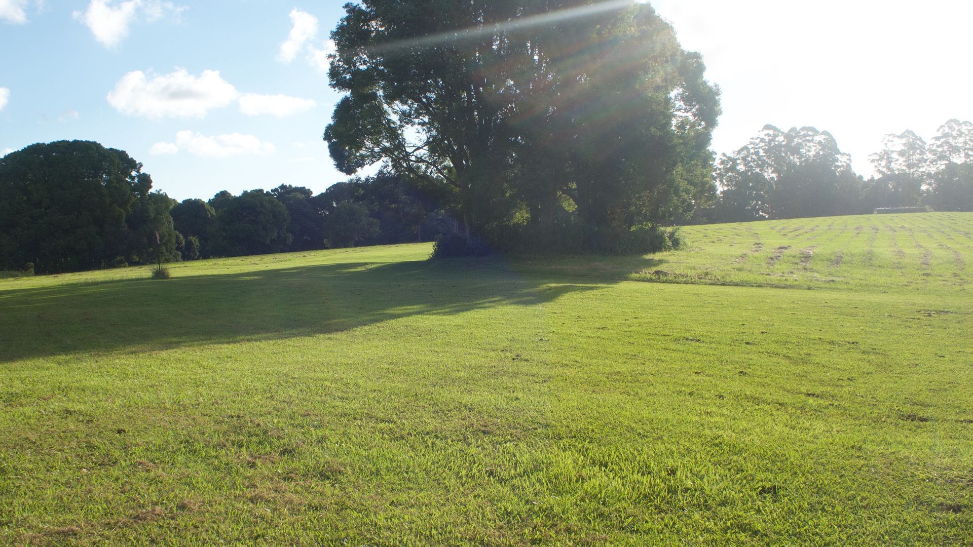 Luxury Byron Bay Hinterland Retreat