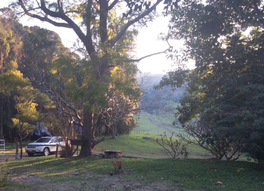 Beaumont High Country Homestead - Peaceful Getaway on a Working Cattle Property