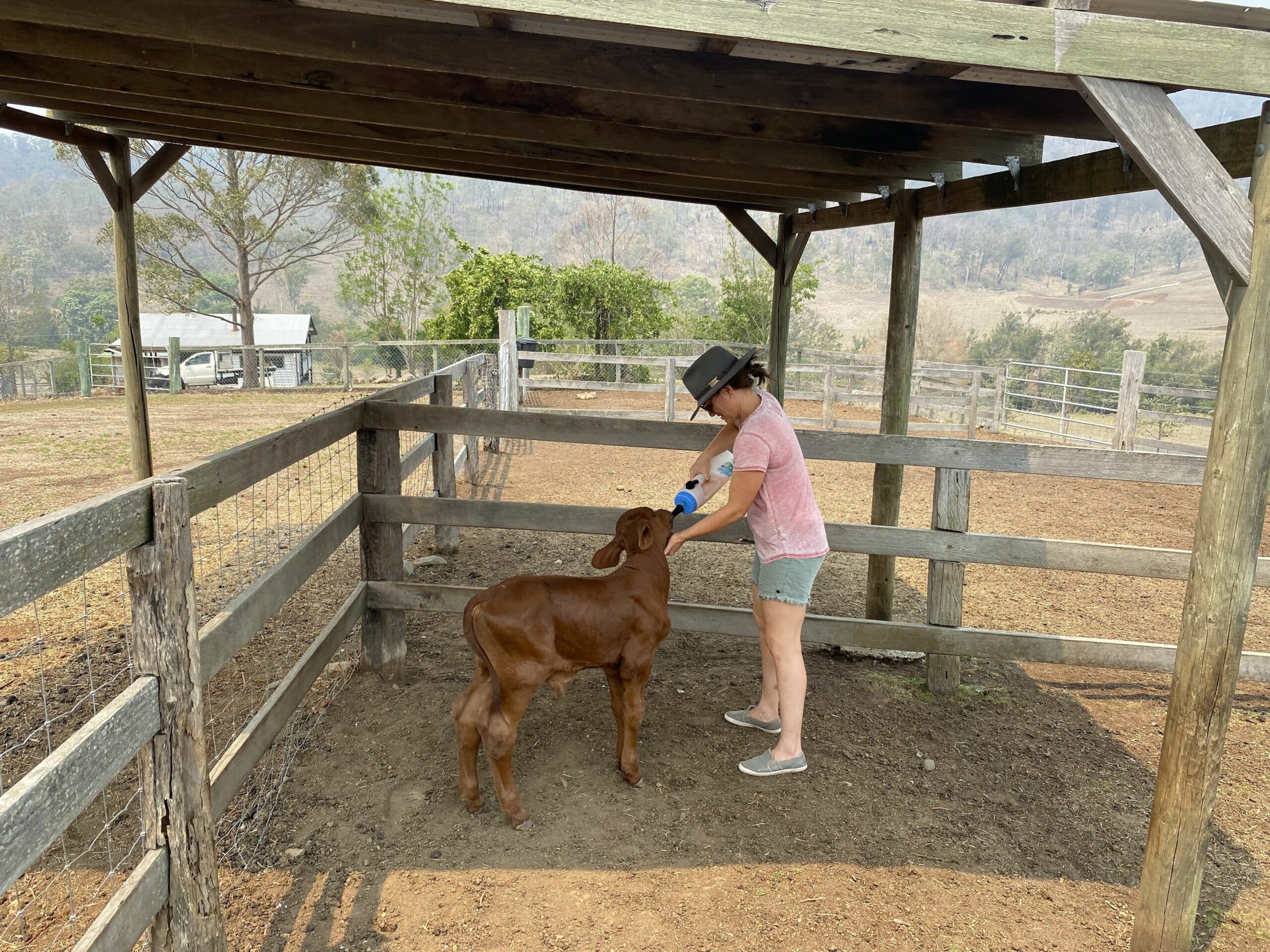 Darlington Grove Farm Stay in a Renovated Dairy Lots of Animals and River Access