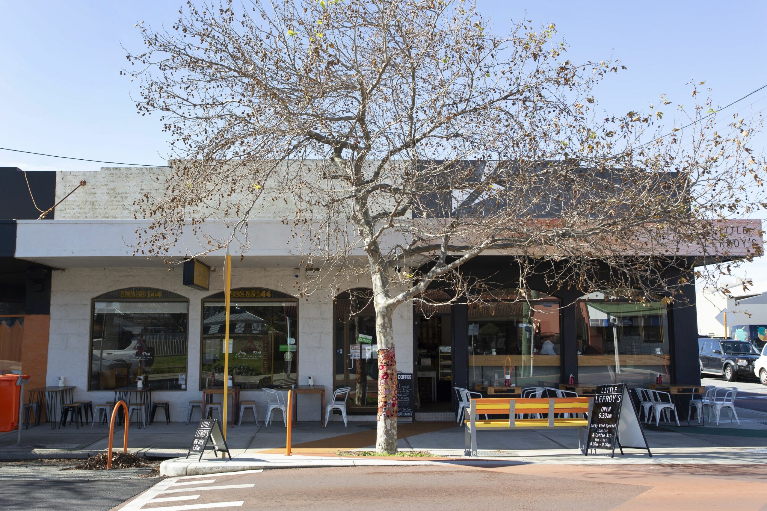 Sweetgum on Lefroy - South Fremantle