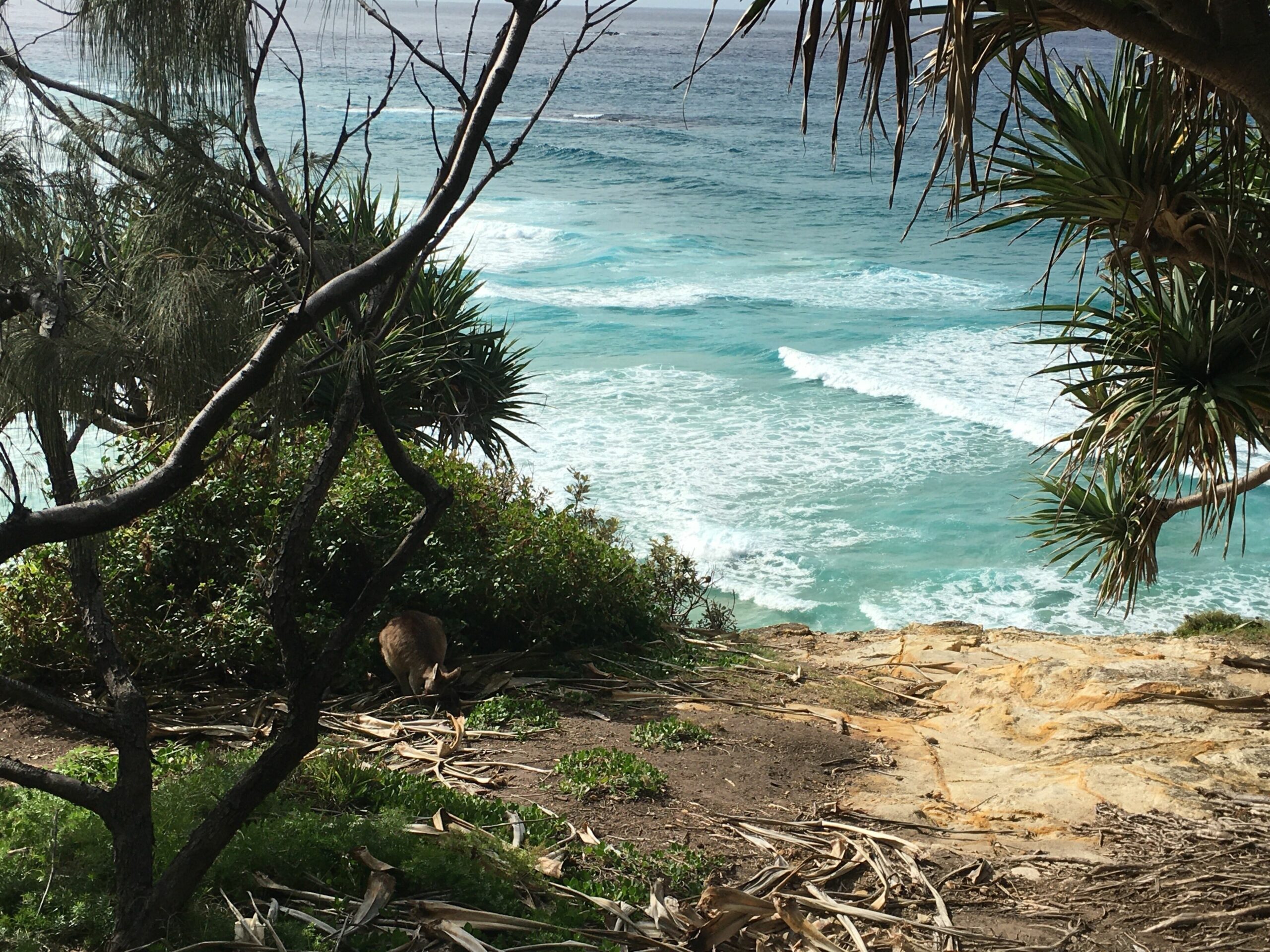 Home Beach Villa -  North Stradbroke Island