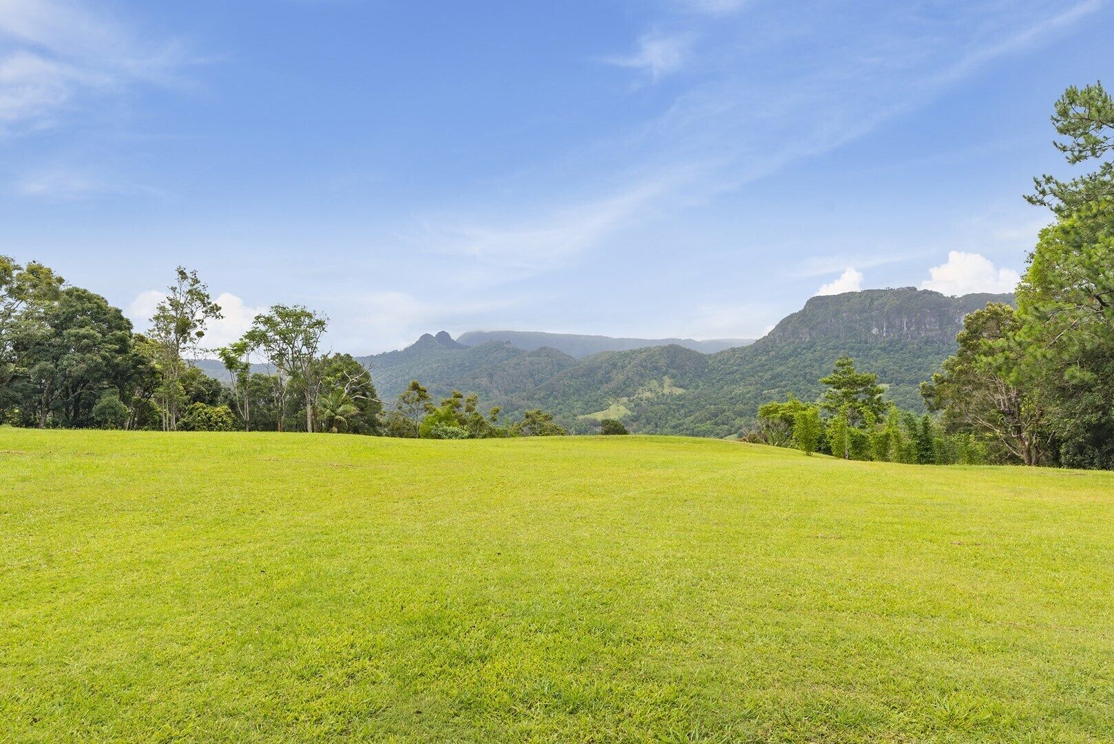 Captivating Currumbin Valley