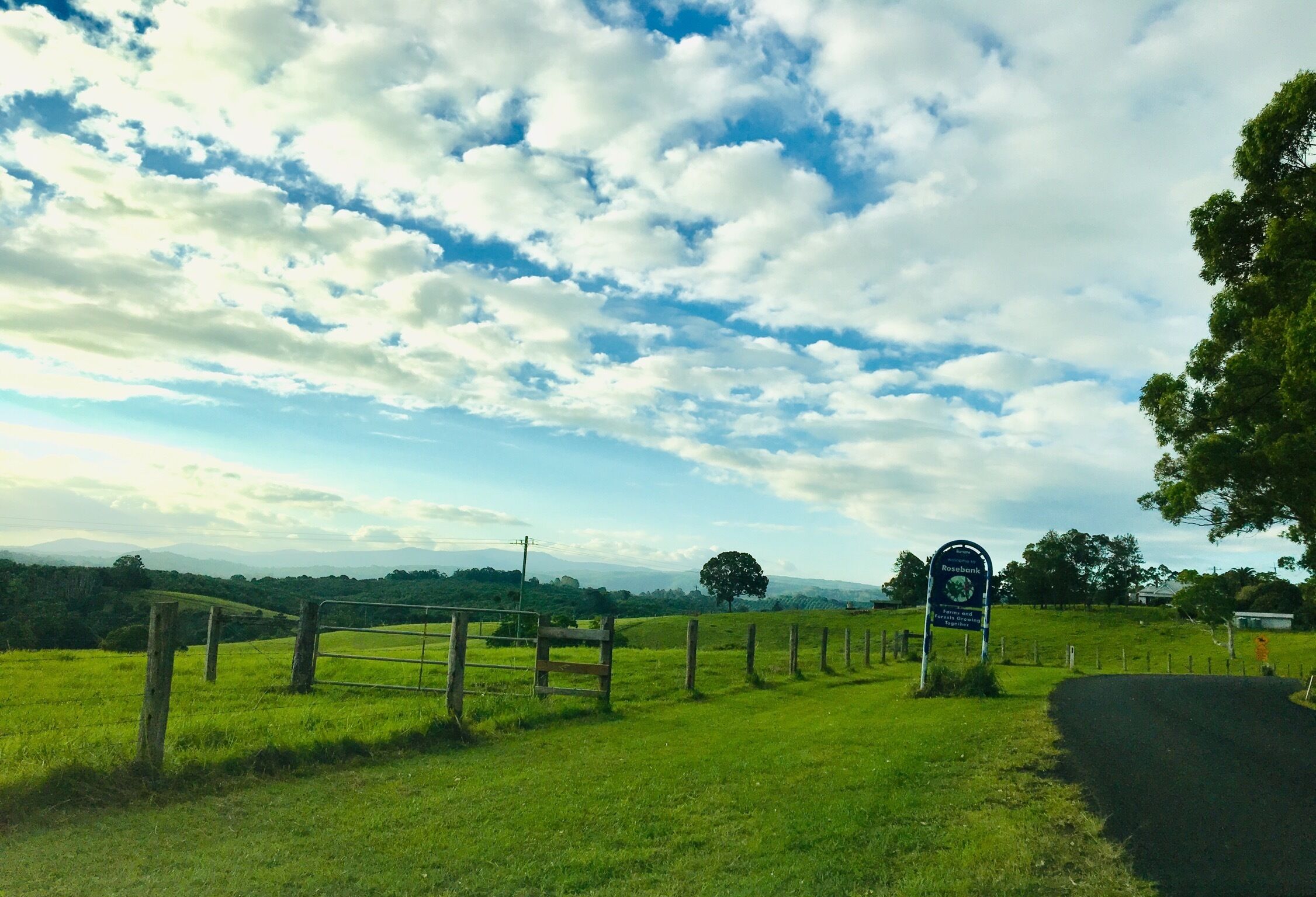 Byron Bay Hinterland - Rosebank View