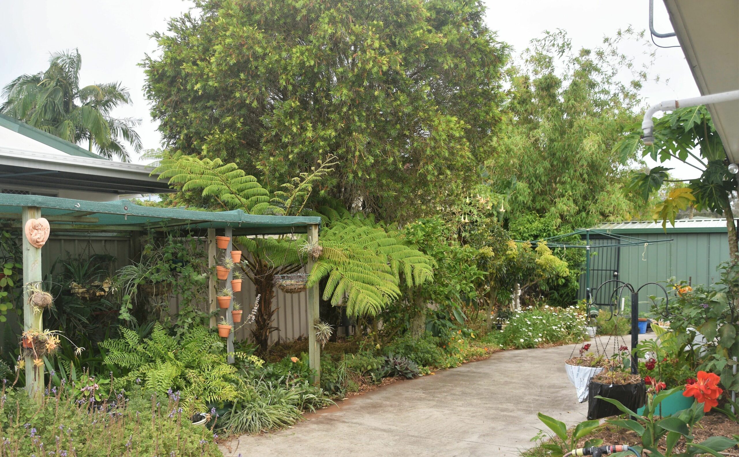 A Peaceful Hacienda With Lush Gardens Situated in a Quiet Steet - Pet Friendly