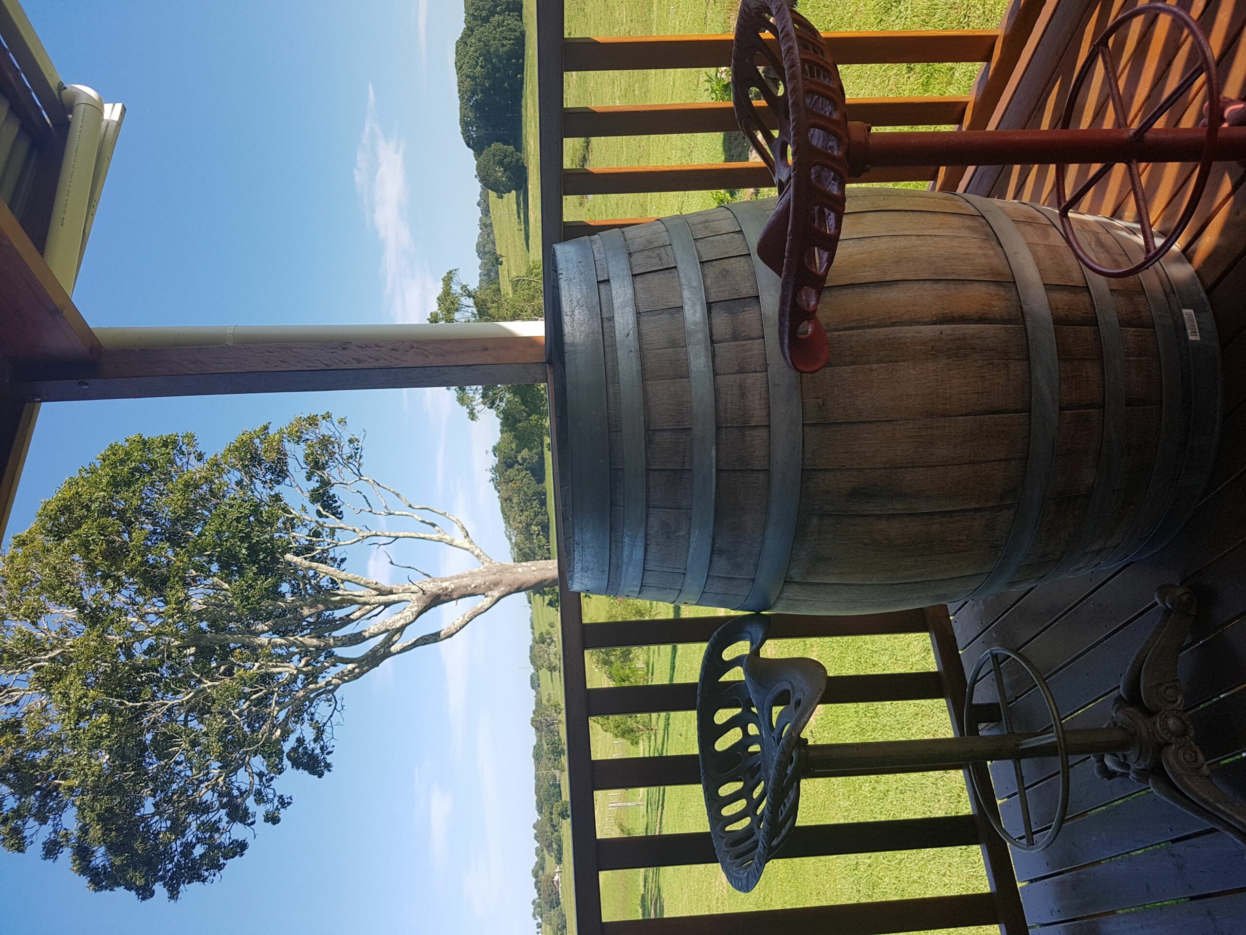 Byron Bay Hinterland-Teak Tree Farm