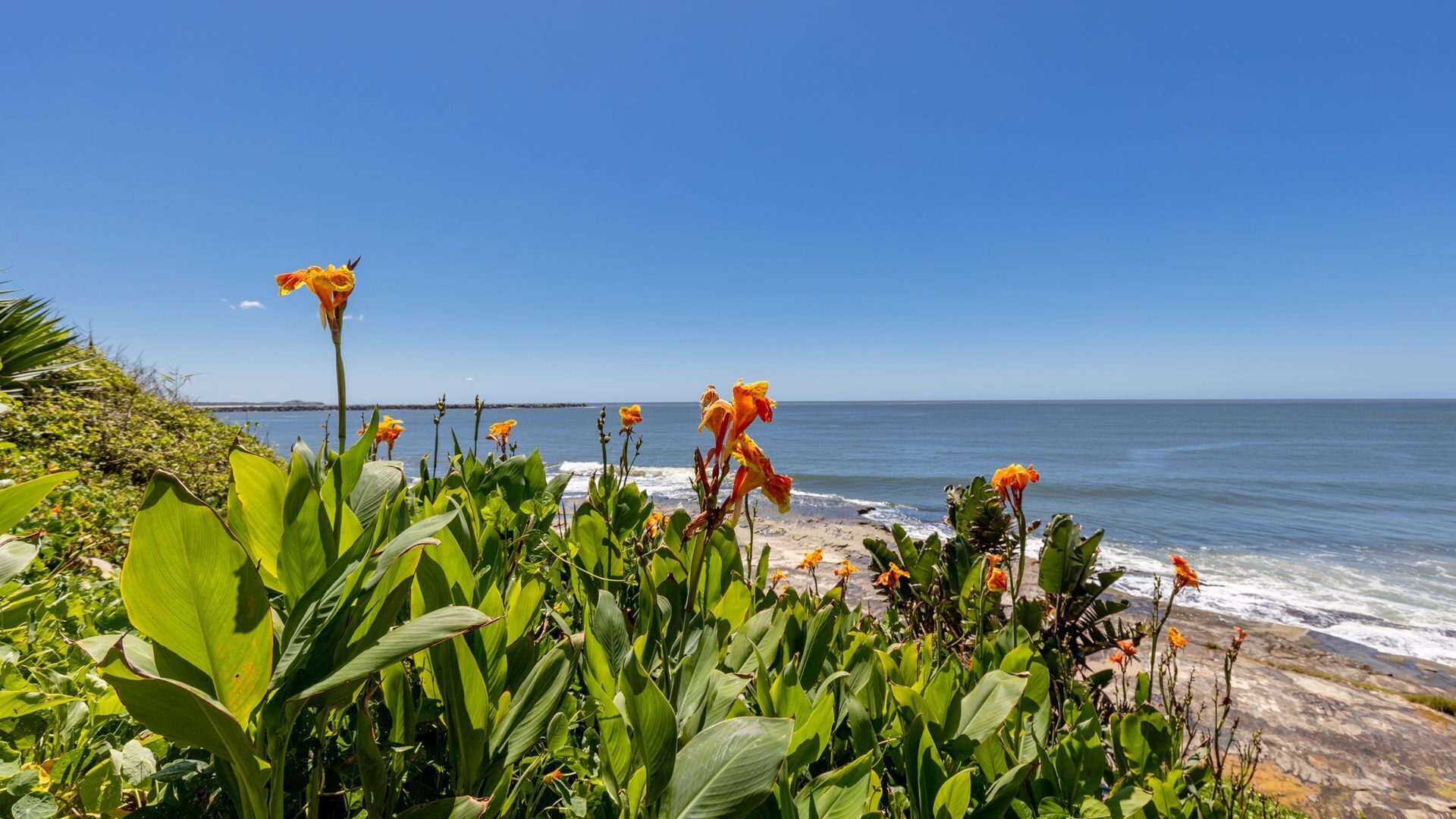 Suncrest Unit 2, Absolute Oceanfront, Yamba